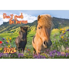 Календар квартальний маленький на 2026 рік "Dont push the horses" (1 пружина) - ВЕК-07